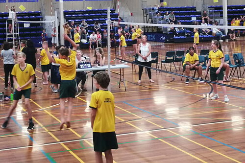 Kiwi Volley